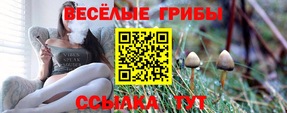 Псилоцибиновые грибы Magic Shrooms Владикавказ
