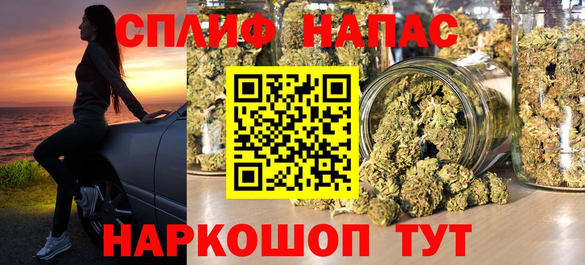 Бошки марихуана планчик Владикавказ